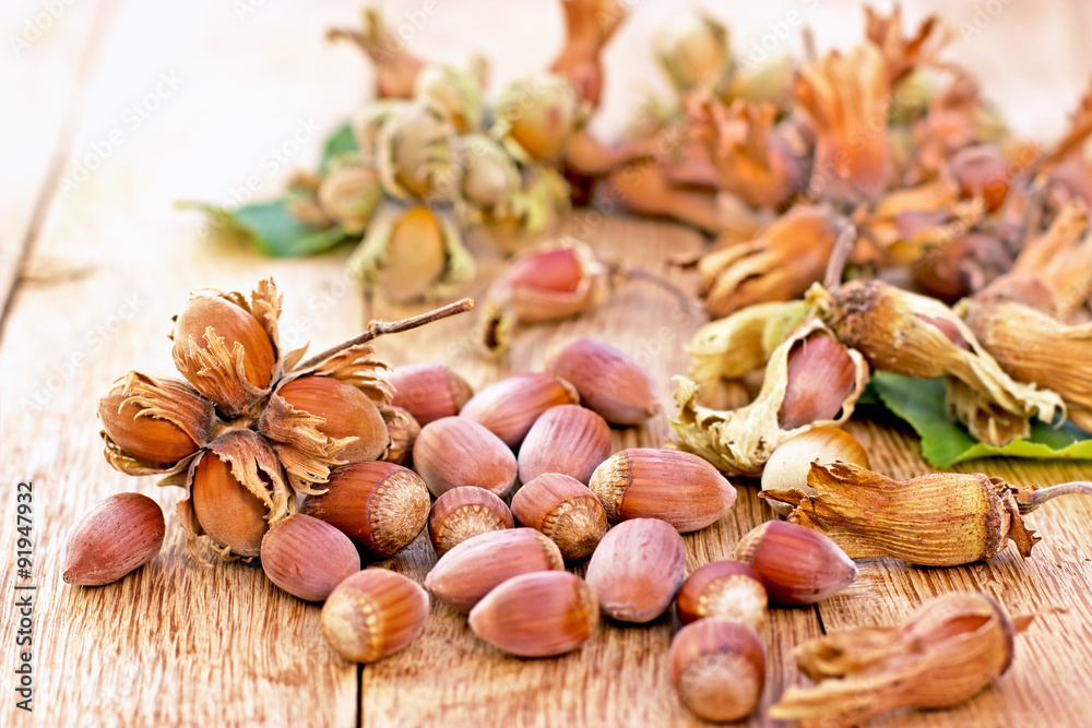 Organic hazelnut Organic hazelnut