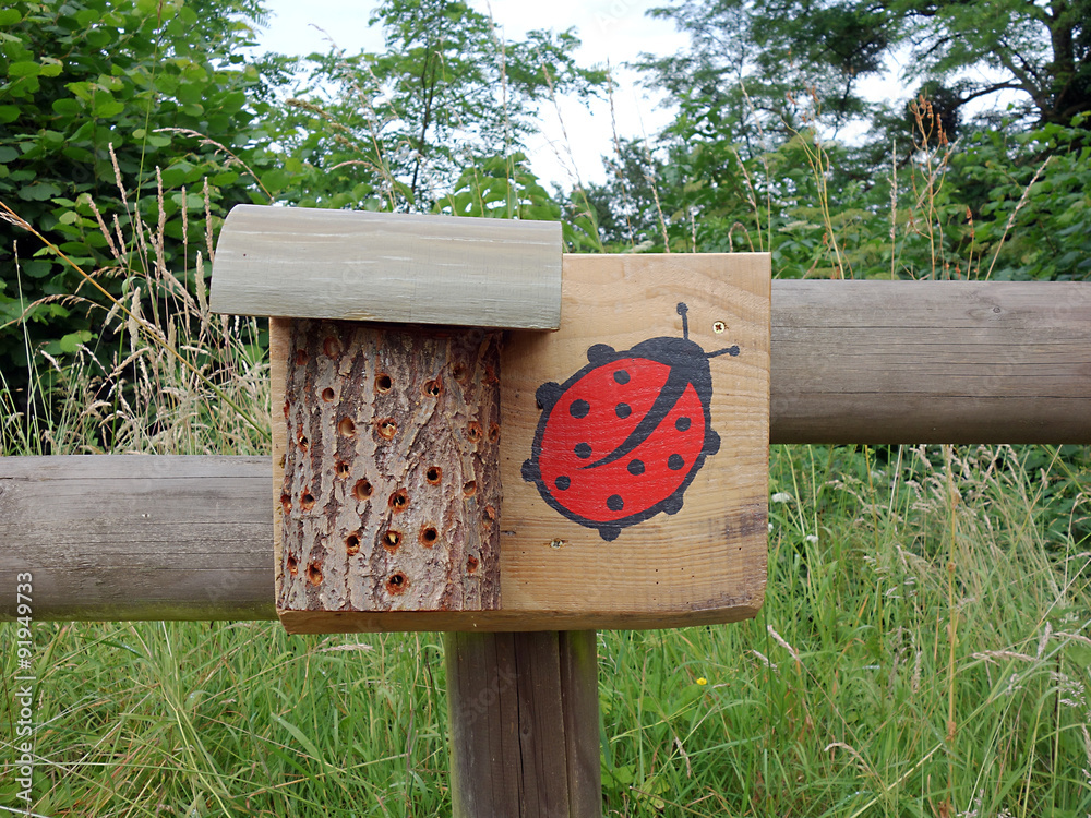 Abris à coccinelles Stock Photo Adobe Stock — free download