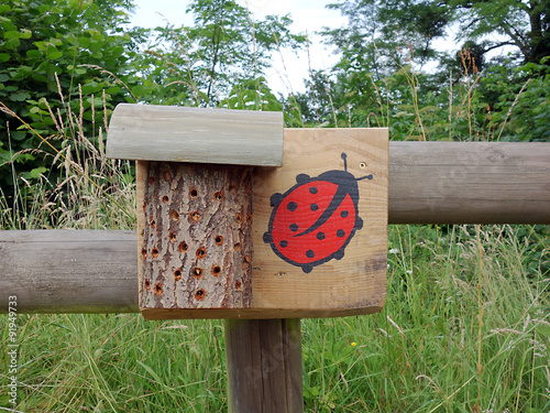 Abris à coccinelles photo