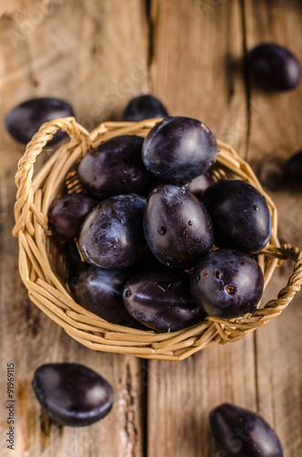 Wallpaper Mural Freshly picked and washed plums Torontodigital.ca