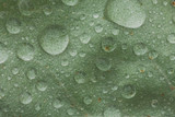 Abstract Droplets on Leaf