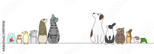 various pets in a row,looking away