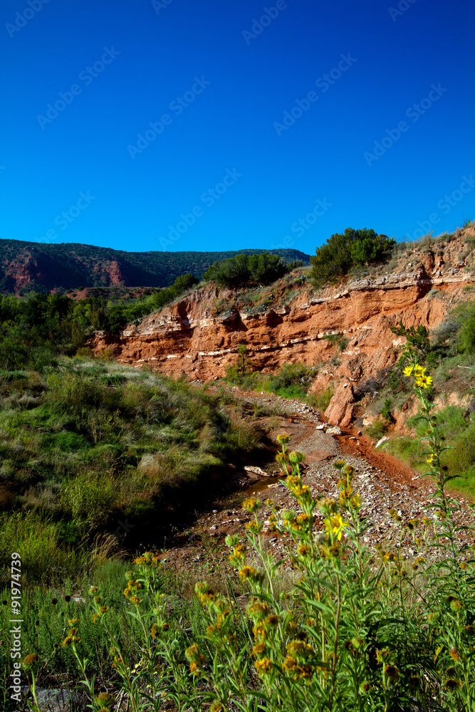 Geological rock formations at Caprock Canyons State Park in Texas