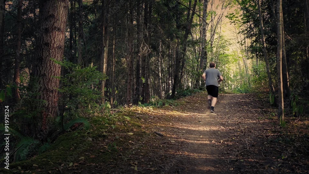 Jogger Runs Up Hill Path Through The Forest At Sunset Jogger Runs Up Hill Path Through The Forest At Sunset