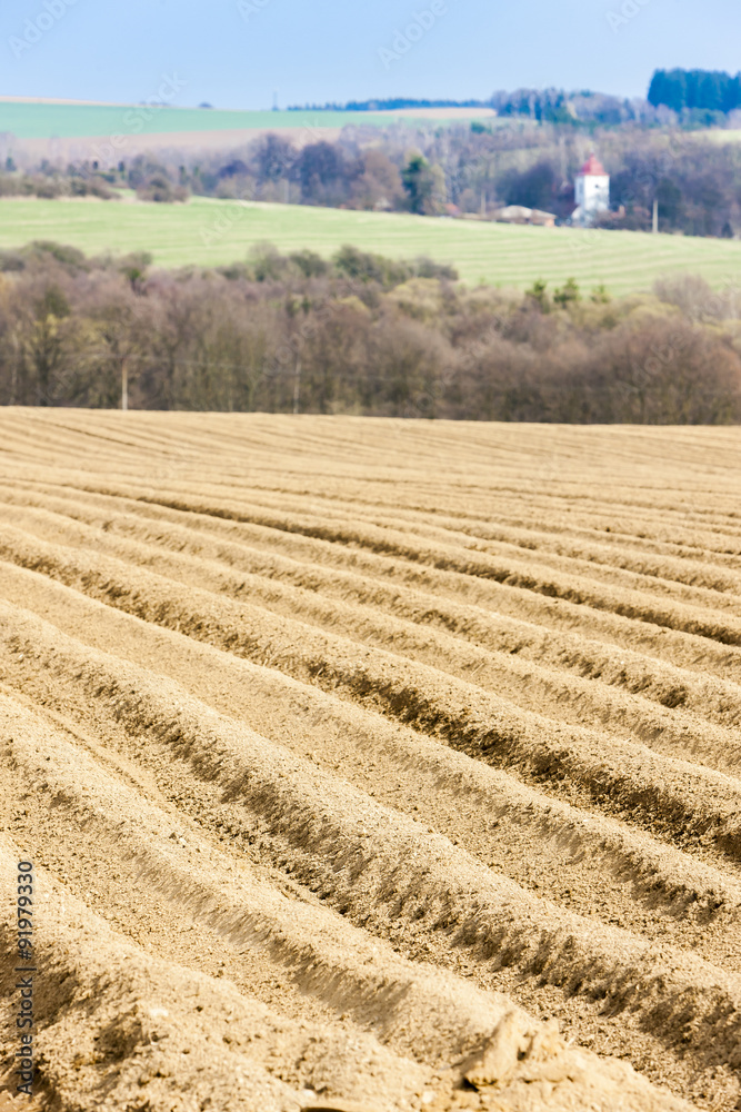 landscape with field, Czech Republic landscape with field, Czech Republic