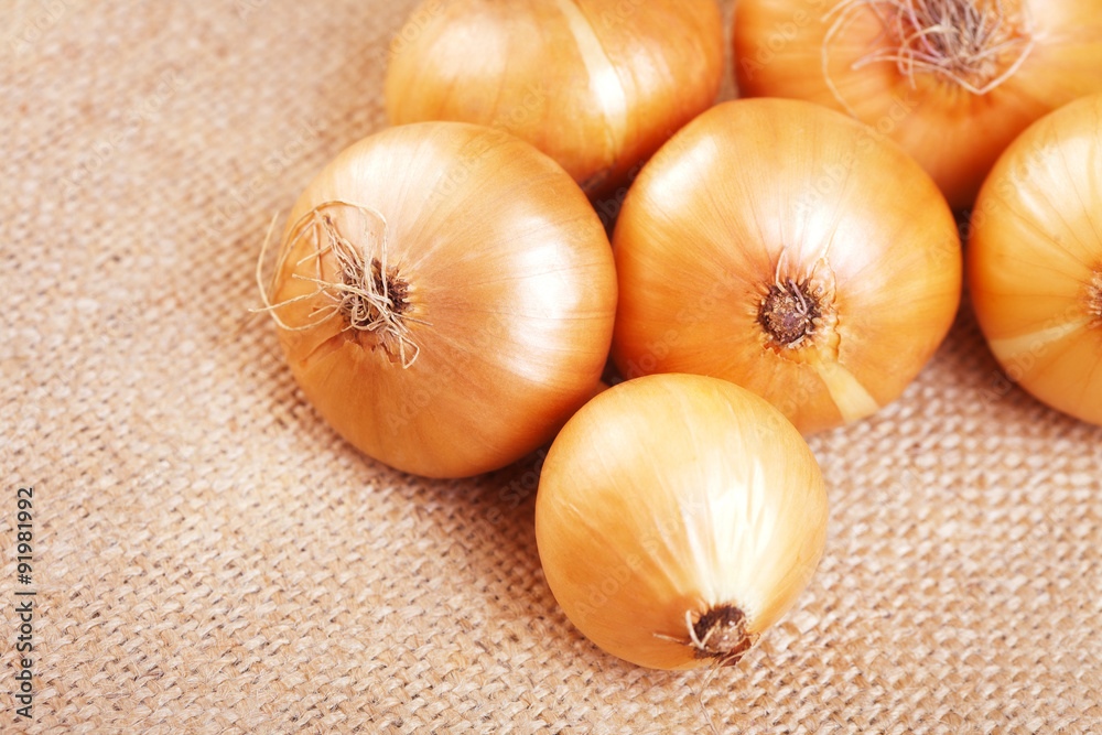 Group of onions on the background of burlap Group of onions on the background of burlap