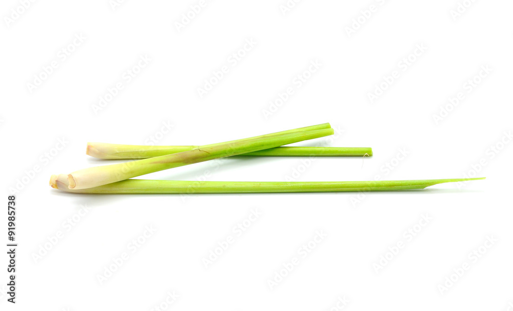 Lemon grass on white background Lemon grass on white background