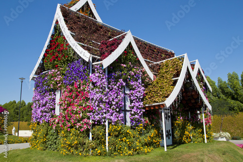 Miracle garden,Dubai photo