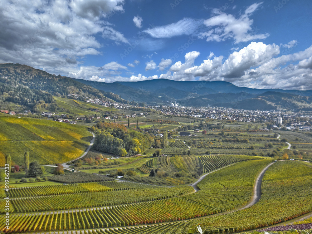 Fototapeta premium Oberkircher Weinberge im Herbst