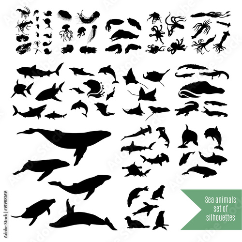 The big set of sea animals vector icons and silhouettes.