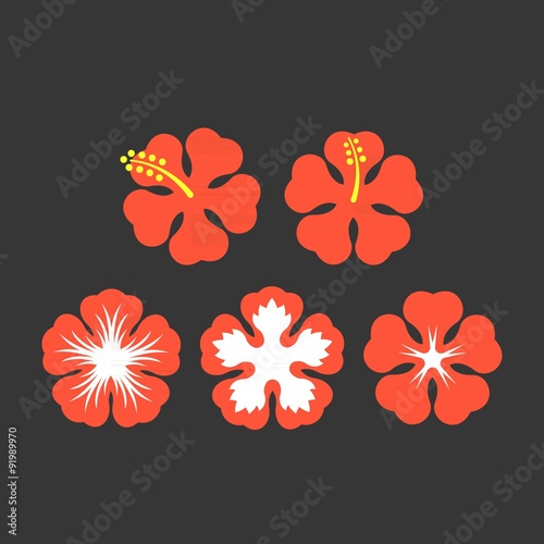 Vector hibiscus flowers set,flat design