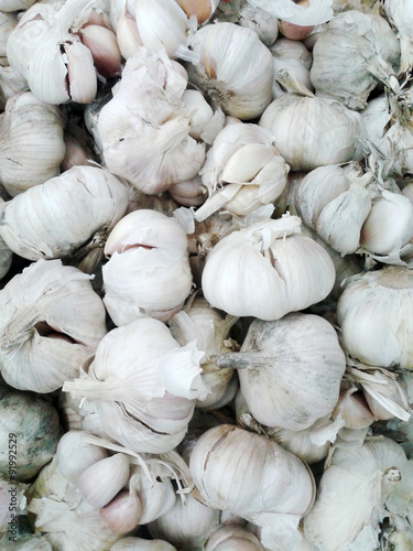 Garlic by the Pound