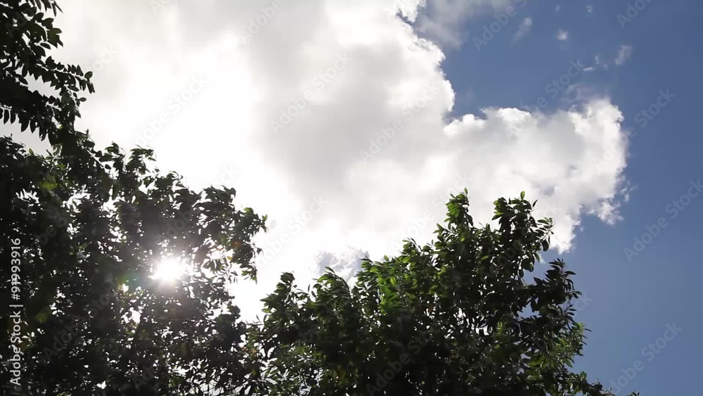 Clouds with Sun Peering Through Trees Clouds with Sun Peering Through Trees