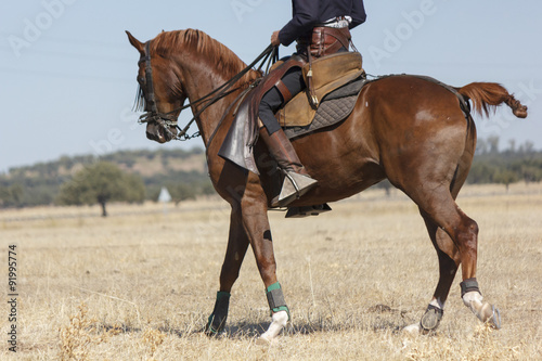 Vaquero montando a caballo. Paseo a caballo. Deporte ecuestre. Equitación deportiva. © Trepalio