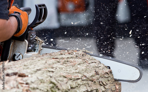 Man cutting trunk with chainsaw © Budimir Jevtic