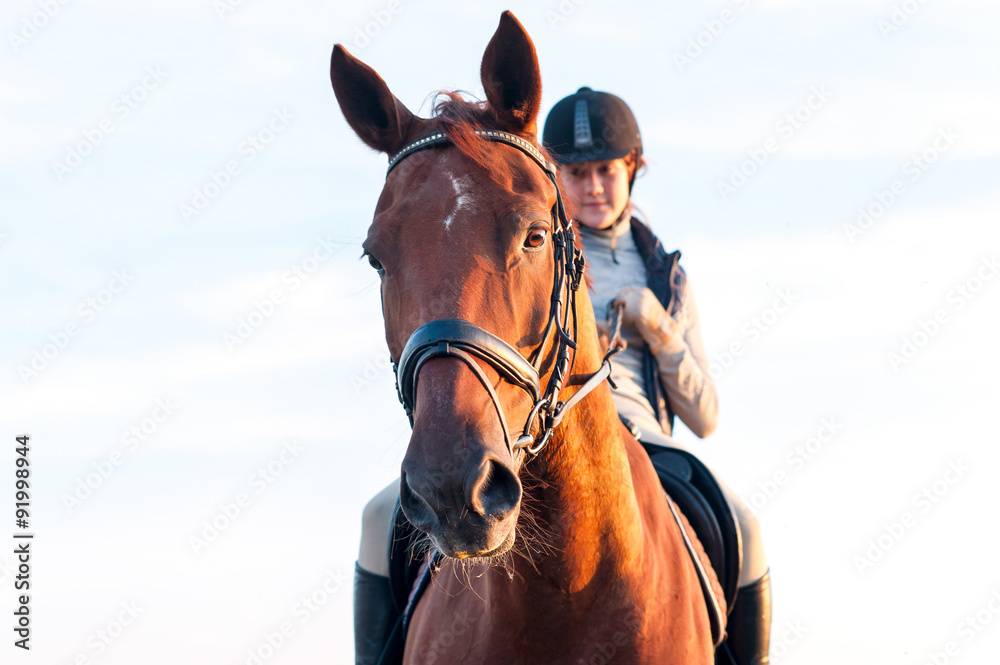 Obraz premium Teenage girl equestrian riding horseback. Vibrant summertime out