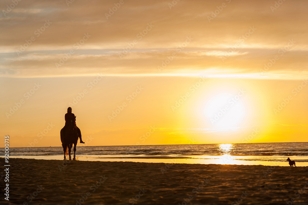 Horseriding at the beach on sunset background. Multicolored outd