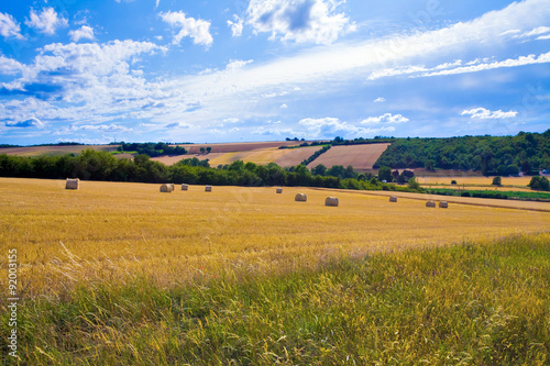 Champ de blés après la moisson dans les Yvelines, Beynes