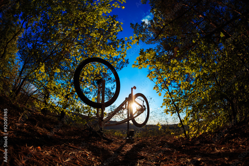 Fototapeta premium Beautiful scene of bike on sunset