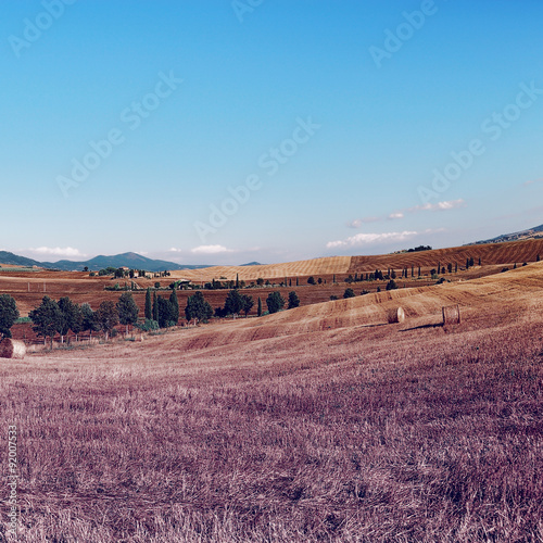 Hay Bales