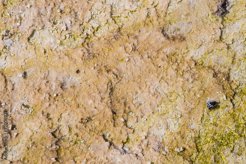Natural water corrosion texture 