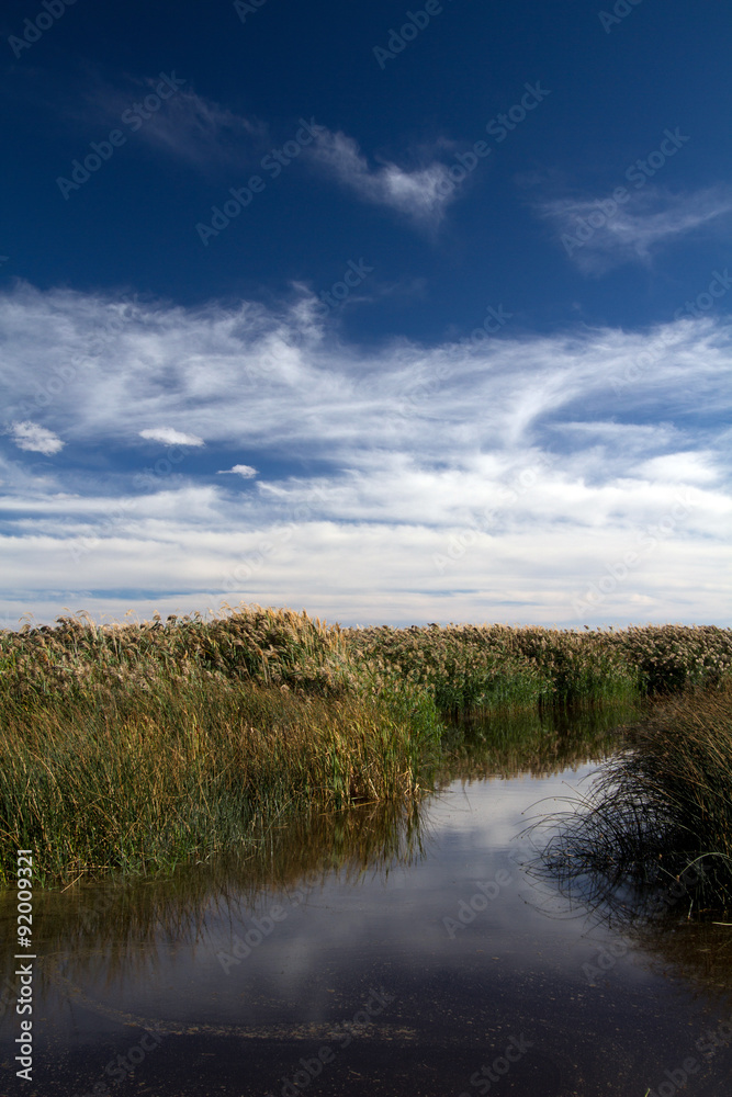 Water, grass, and sky in autumn at Bear River Migratory Bird Refuge in Utah Water, grass, and sky in autumn at Bear River Migratory Bird Refuge in Utah
