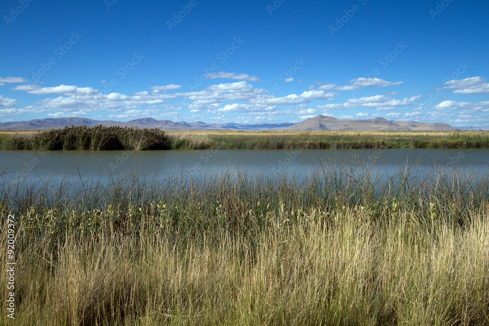 Water, grass, and sky in autumn at Bear River Migratory Bird Refuge in Utah