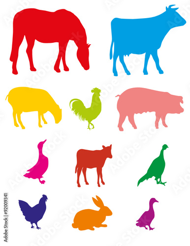 TRIBU ANIMALE