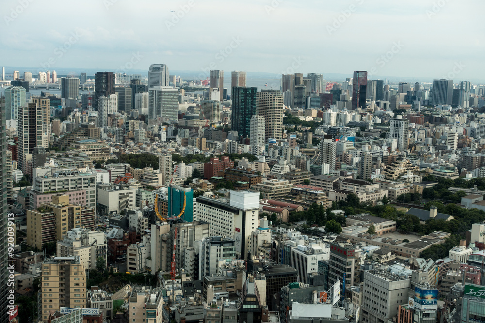 Obraz premium 東京の街並 俯瞰風景