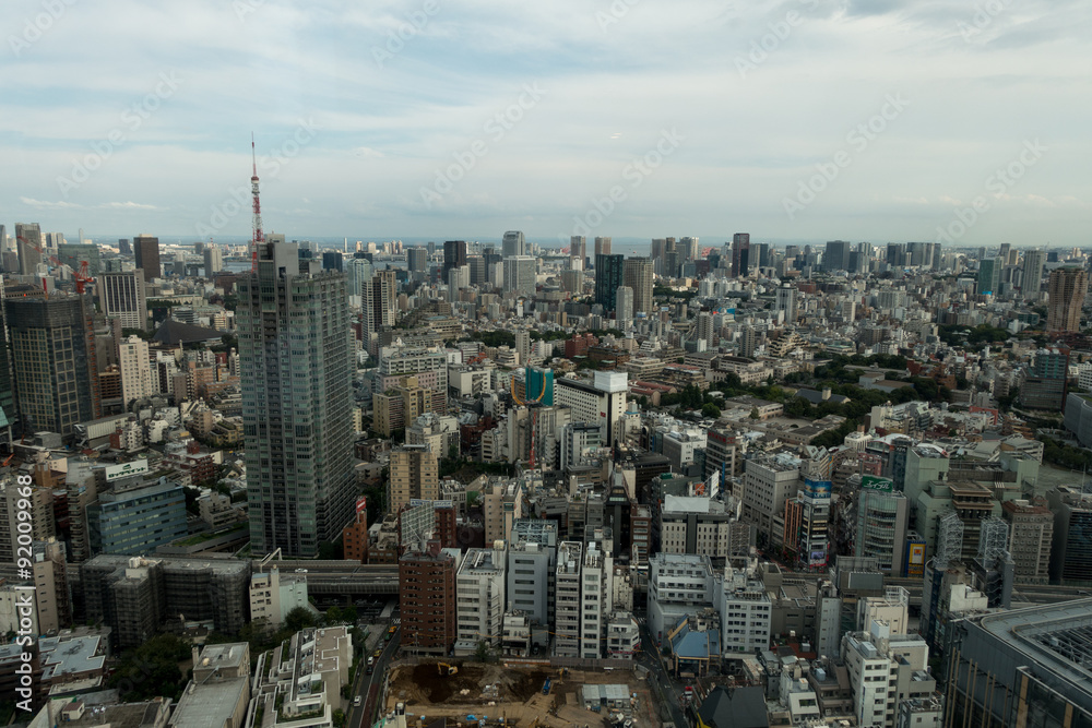東京の俯瞰風景　東京タワー