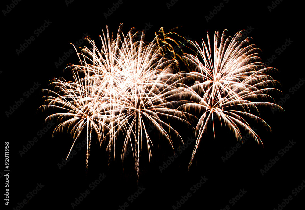 Fototapeta premium Beautiful firework