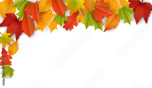 Herbst / Hintergrund / Vektor / Laub