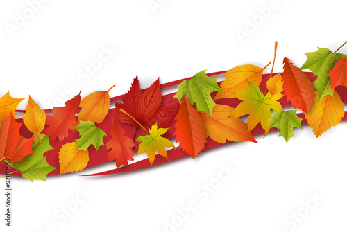 Herbst / Hintergrund / Vektor / Laub