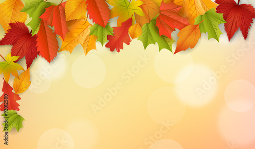 Herbst / Hintergrund / Vektor / Laub