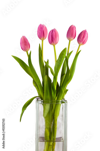 Pink tulips in glass vase against white © EdwardsMediaOnline