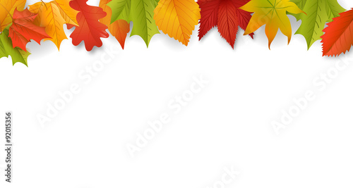 Herbst / Hintergrund / Vektor / Laub