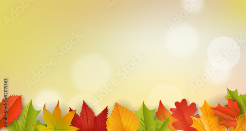 Herbst / Hintergrund / Vektor / Laub