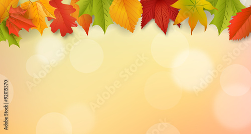 Herbst / Hintergrund / Vektor / Laub