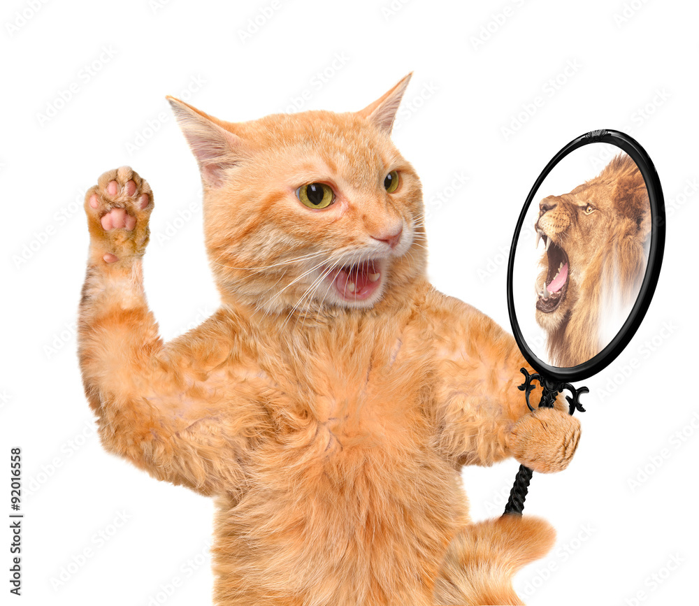 Obraz premium Cat looking into the mirror and seeing a reflection of a lion.