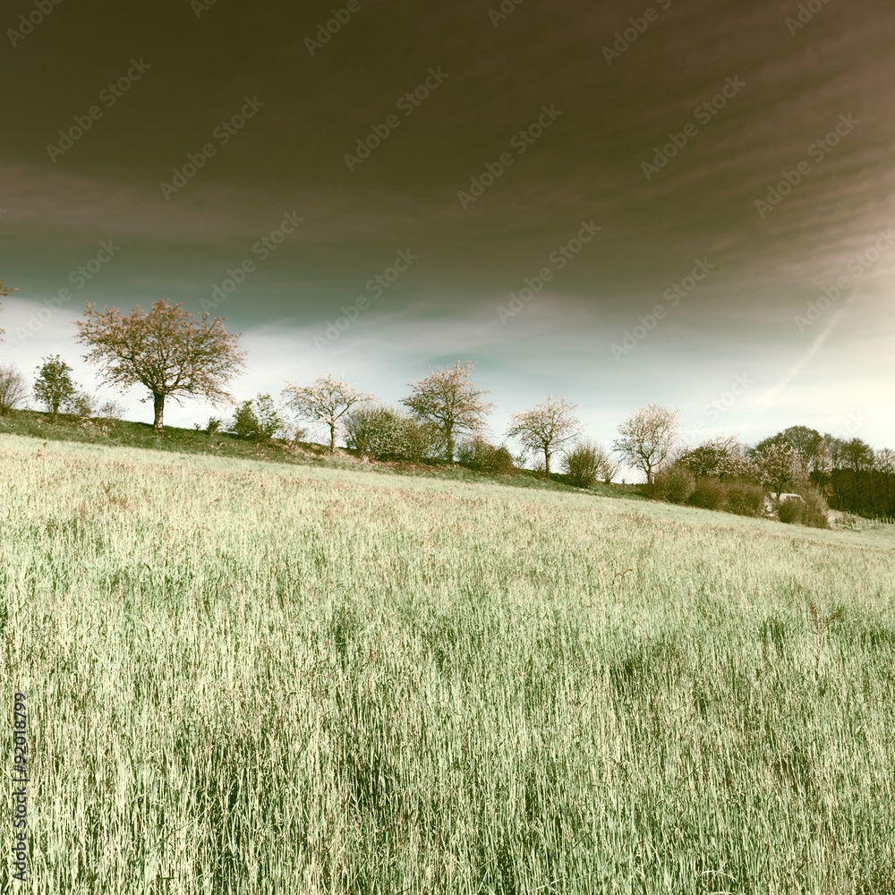 Fototapeta premium Hills