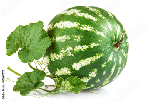 Fresh ripe watermelon with green leaves. Isolated on white