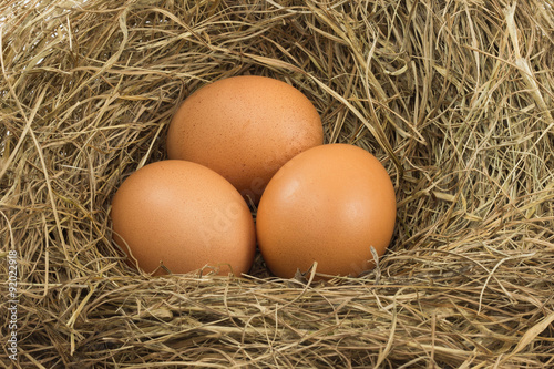 Three eggs in the grassy nest