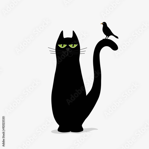 Cute black cat and bird