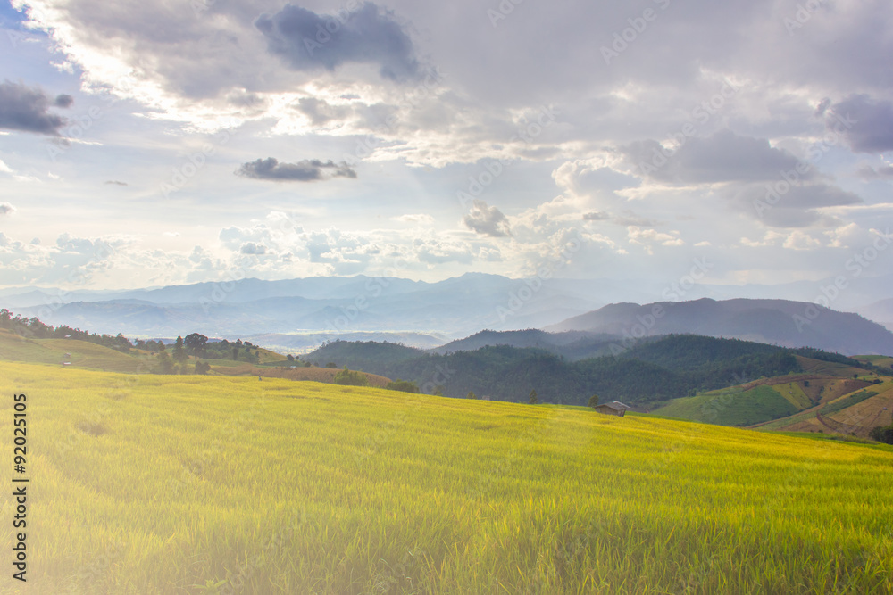 Green Terraced Rice Field in Pa Pong Pieng , Mae Chaem, Chiang Mai, Thailand