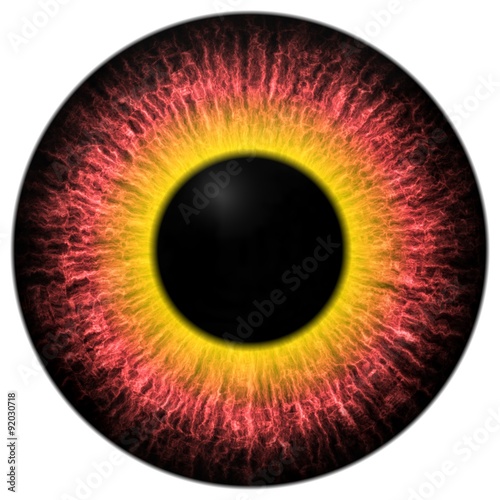 Eye iris generated