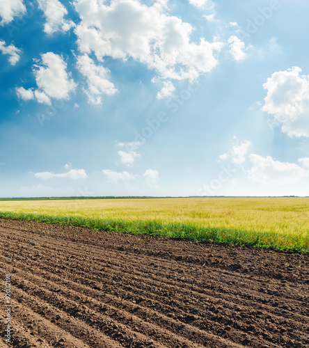 spring fields and blue sky with clouds