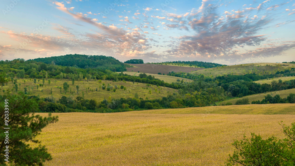 Obraz premium green hills