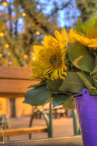 Yellow daisy in a purple vase