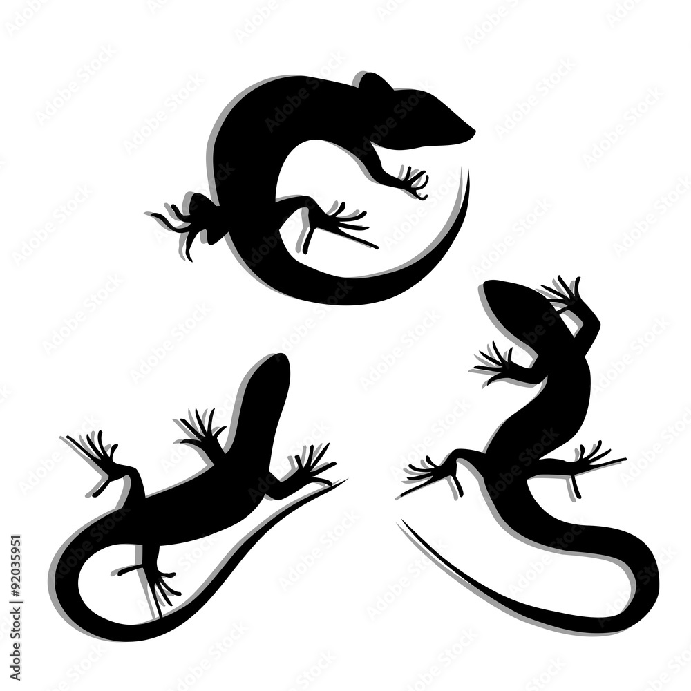 Fototapeta premium Set of Beautiful monochrome lizard, lizard silhouettes. Salamandra silhouettes. Gecko Silhouettes.