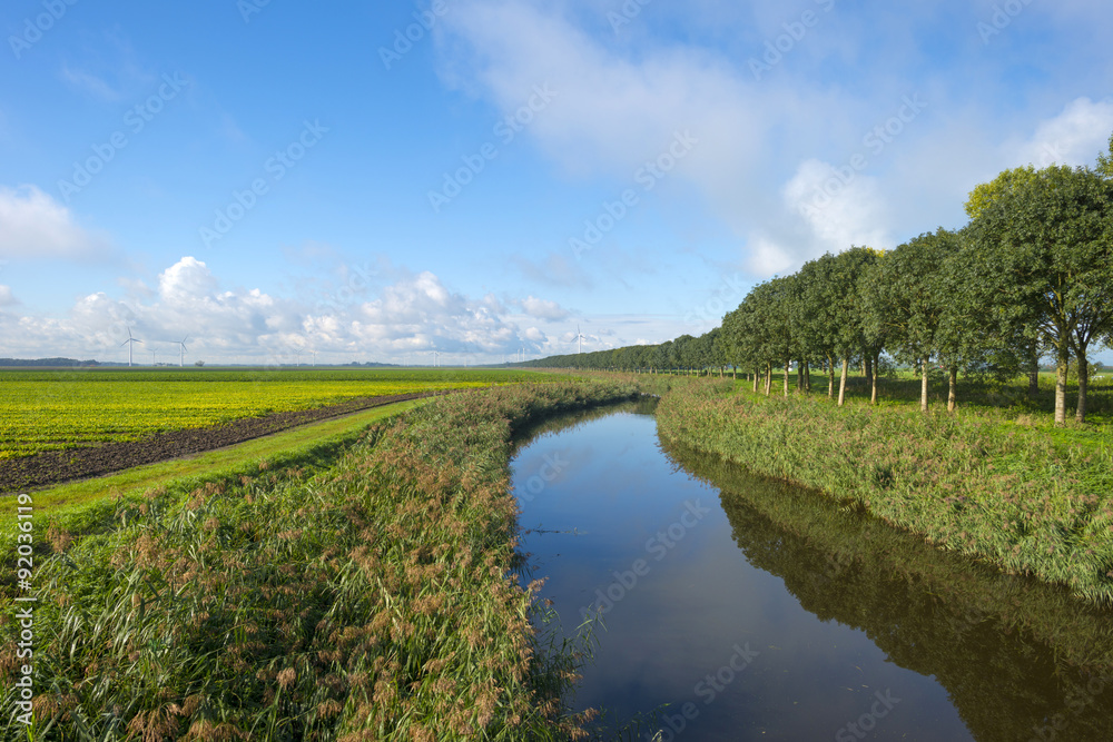 Canal through a field with vegetables at fall Canal through a field with vegetables at fall